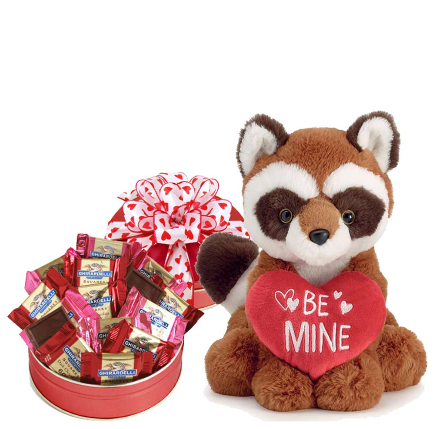Be Mine Plush Racoon Valentine Gift with chocolates